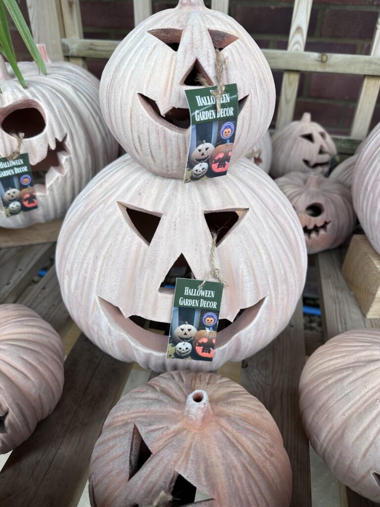 Terracotta Pumpkins Spalding Farm Shop   IMG 5026 768x1024 